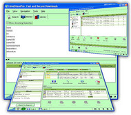 LimeShare Pro screenshot